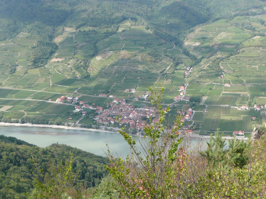 Weingut Langmayer Wosendorf in der Wachau Екстер'єр фото