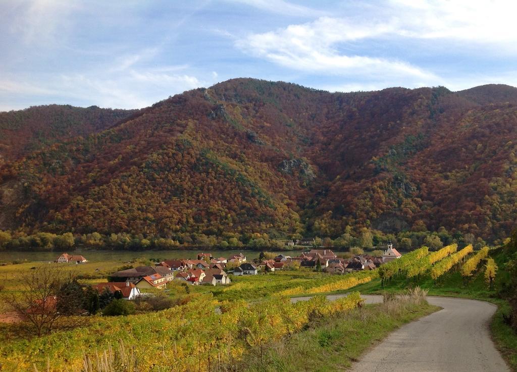 Weingut Langmayer Wosendorf in der Wachau Екстер'єр фото