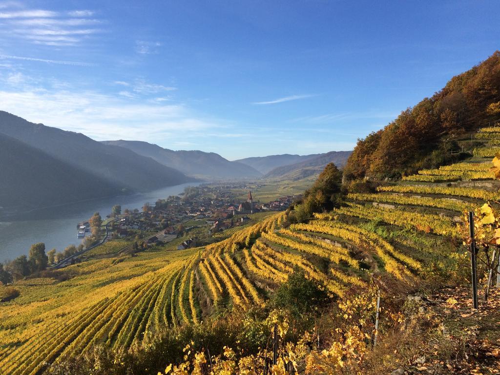 Weingut Langmayer Wosendorf in der Wachau Екстер'єр фото