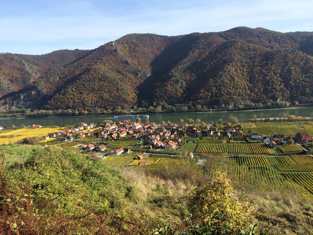 Weingut Langmayer Wosendorf in der Wachau Екстер'єр фото